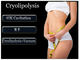 Fat Frozen Cryolipolysis Machine Beauty Equipments With 8 Inch Screen supplier