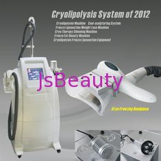 China Cool Sculpting Zeltiq Cryolipolysis Machine For Home Use / Salon Beauty supplier